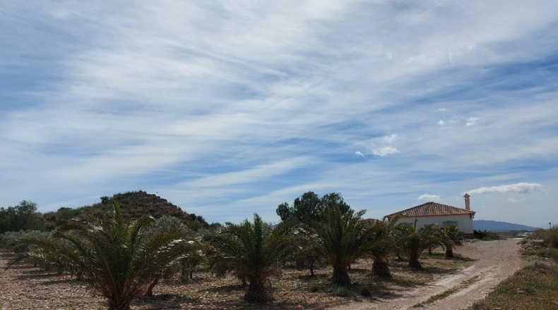 Almería - Uleila del Campo - 10000m2