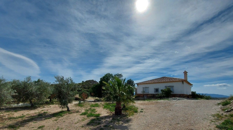 Almería - Uleila del Campo - 10000m2