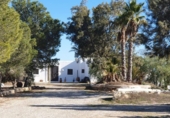Casa de camp amb terreny en venda a Níjar ref.: TR24464 foto