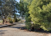 Casa de camp amb terreny en venda a Níjar ref.: TR24464 foto