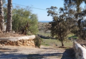 Casa de camp amb terreny en venda a Níjar ref.: TR24464 foto