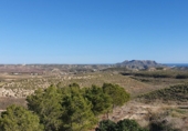 Casa de camp amb terreny en venda a Níjar ref.: TR24464 foto