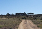 Casa de camp amb terreny en venda a Níjar ref.: TR24464 foto