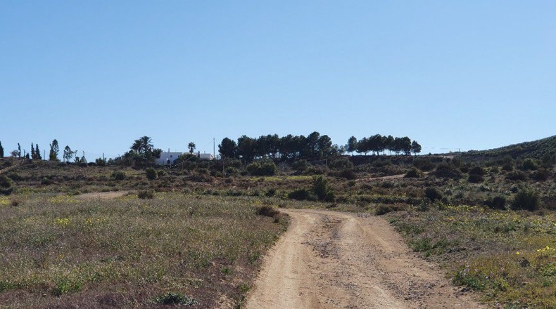 Almería - Cabo de Gata - 21763m2