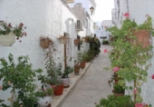 Casa de pueblo en venta en Lucainena de las Torres ref: TR47940 foto