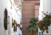 Casa de pueblo en venta en Lucainena de las Torres ref: TR47940 foto