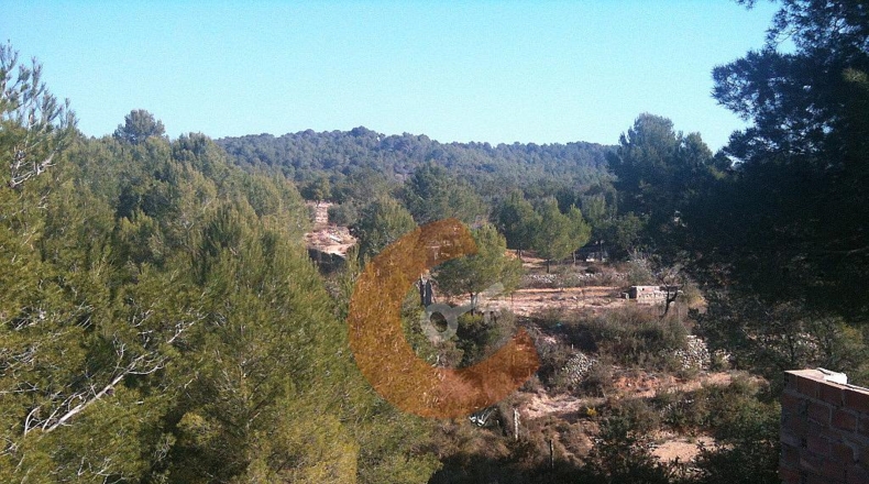 Tarragona - la Bisbal del Penedès - 650m2