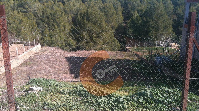 Tarragona - la Bisbal del Penedès - 650m2