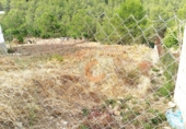 Parcel·la urbanitzable en venda a la Bisbal del Penedès ref.: TR109814 foto