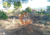 Land suitable for development for sale in la Bisbal del Penedès ref: TR36505 photo