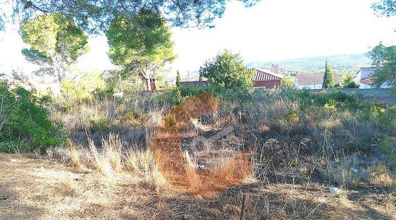 Tarragona - la Bisbal del Penedès - 518m2