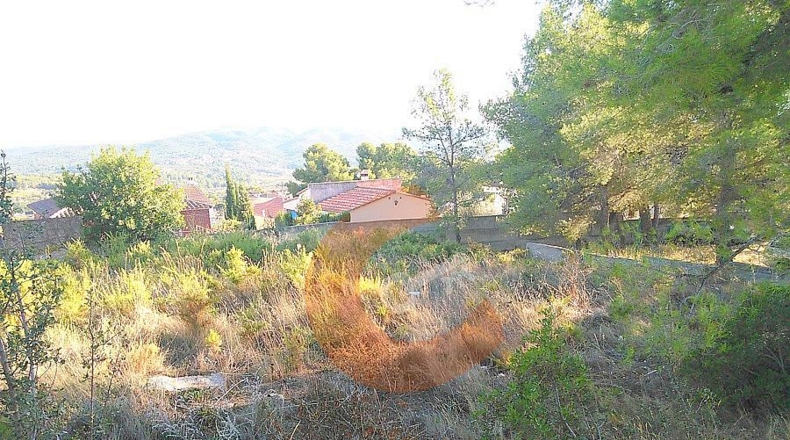 Tarragona - la Bisbal del Penedès - 518m2