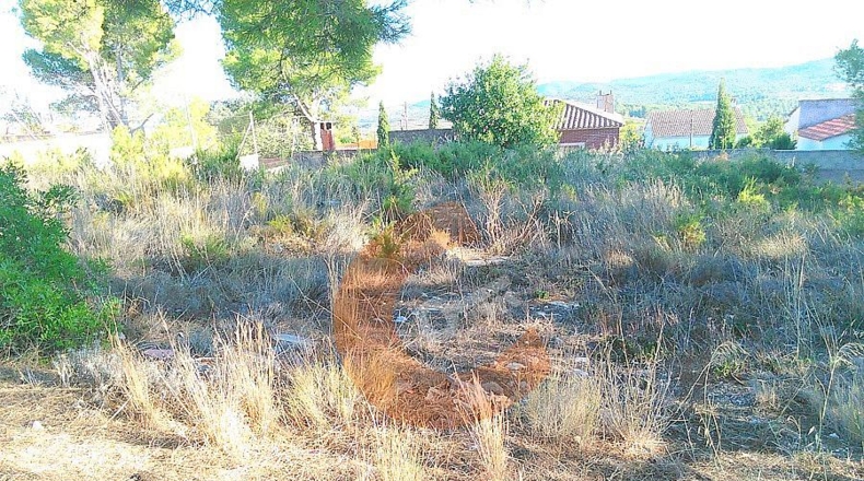Tarragona - la Bisbal del Penedès - 518m2