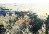 Parcela urbanizable en venta en la Bisbal del Penedès ref: TR32718 foto