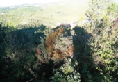 Parcela urbanizable en venta en la Bisbal del Penedès ref: TR32718 foto