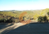 Parcela urbanizable en venta en la Bisbal del Penedès ref: TR32718 foto