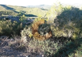 Parcela urbanizable en venta en la Bisbal del Penedès ref: TR32718 foto