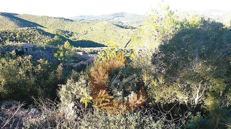 Tarragona - la Masieta - 1000m2
