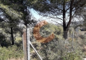 Non-developable land for sale in la Bisbal del Penedès ref: TR32717 photo