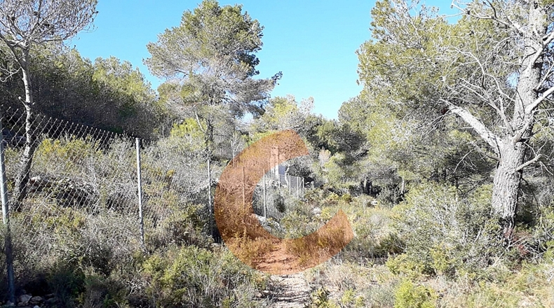 Tarragona - la Masieta - 2000m2