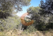 Non-developable land for sale in la Bisbal del Penedès ref: TR32717 photo
