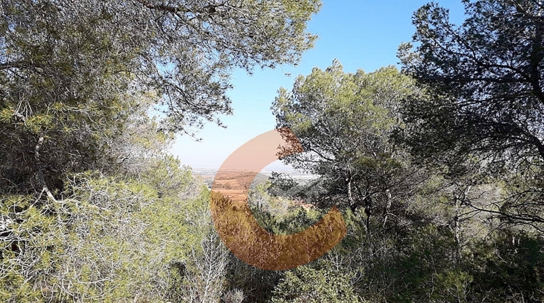 Tarragona - la Masieta - 2000m2