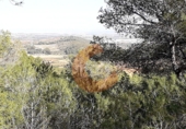 Non-developable land for sale in la Bisbal del Penedès ref: TR32717 photo