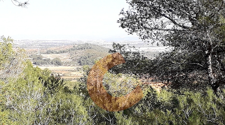Tarragona - la Masieta - 2000m2