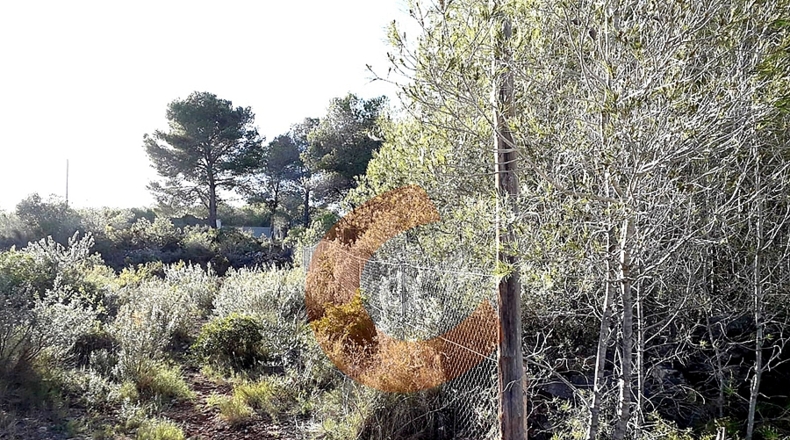 Tarragona - la Masieta - 2000m2