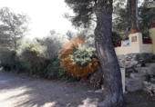 Non-developable land for sale in la Bisbal del Penedès ref: TR32717 photo