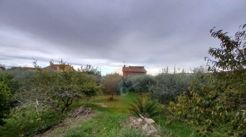 Tarragona - Albinyana - 2908m2