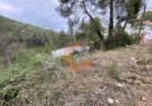 Terreny no urbanitzable en venda a la Bisbal del Penedès ref.: TR32715 foto