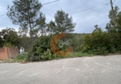 Terreny no urbanitzable en venda a la Bisbal del Penedès ref.: TR32715 foto