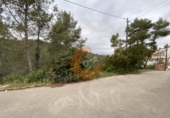 Terreny no urbanitzable en venda a la Bisbal del Penedès ref.: TR32715 foto