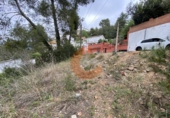 Terreny no urbanitzable en venda a la Bisbal del Penedès ref.: TR32715 foto