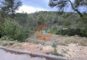 Terreny no urbanitzable en venda a la Bisbal del Penedès ref.: TR32715 foto