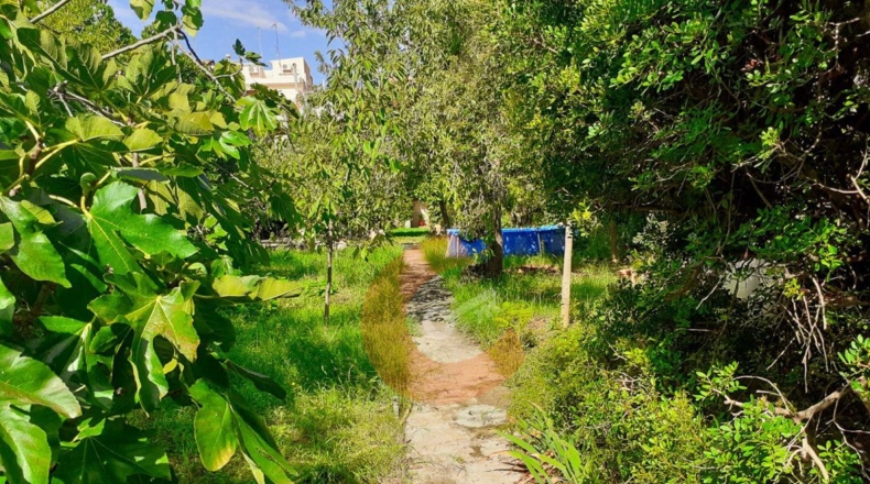 Tarragona - el Vendrell - 312m2