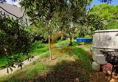 Sòl urbà en venda a el Vendrell ref.: TR252995 foto