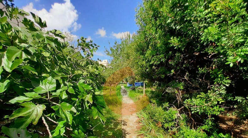 Tarragona - el Vendrell - 312m2