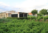 Chalet independiente con terreno en venta en Grijota ref: TR21196 foto