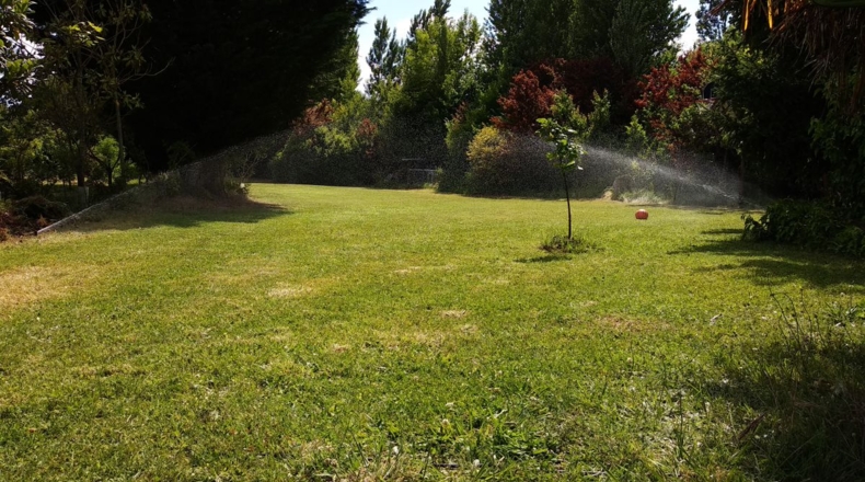 Palencia - Husillos - 6540m2