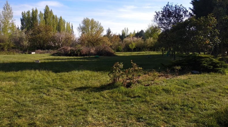 Palencia - Husillos - 6540m2