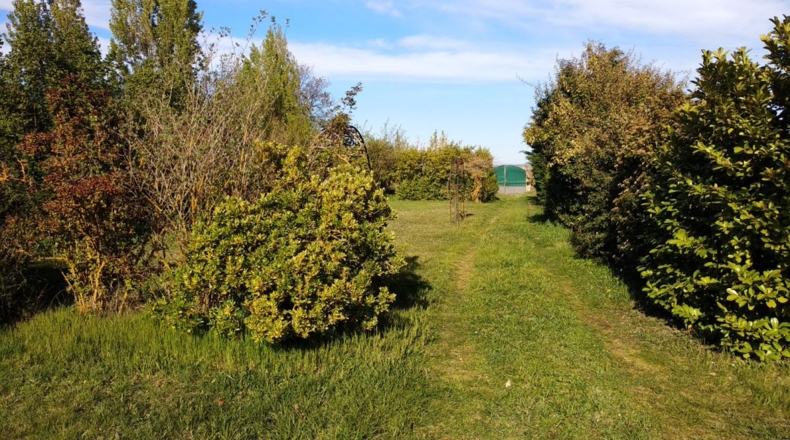 Palencia - Husillos - 6540m2