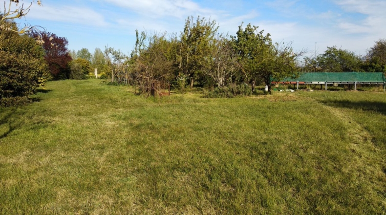 Palencia - Husillos - 6540m2