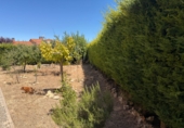 Xalet adossat amb terreny en venda a Magaz de Pisuerga ref.: TR305552 foto