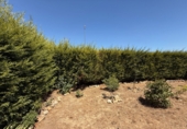 Xalet adossat amb terreny en venda a Magaz de Pisuerga ref.: TR305552 foto