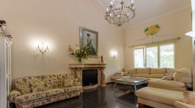 Alicante - Petrer - 1650m2
