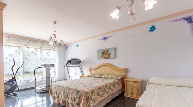 Alicante - Petrer - 1650m2