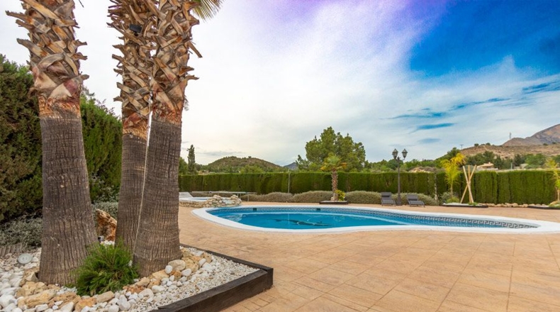 Alicante - Petrer - 1650m2