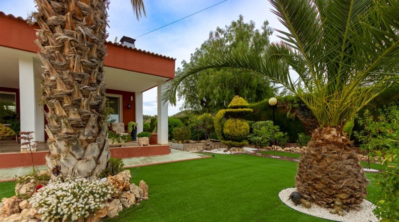 Alicante - Petrer - 1650m2